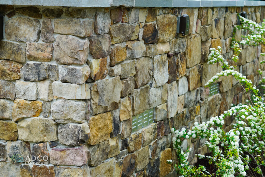 A natural stone wall and a shrub with white flowers.