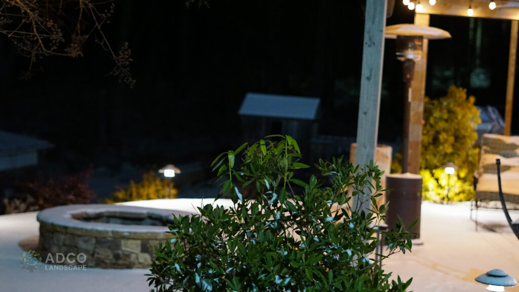 Night shot of a shrub and a natural stone fire pit in the background.