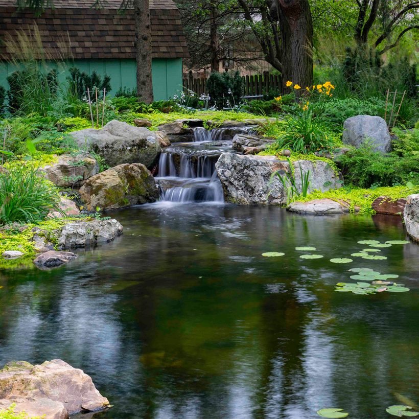 Large-Pond-Kit_53036_53037_53063_53067_53079UK-820x820 (1)