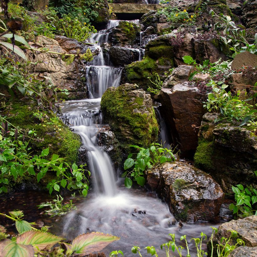 Water Feature.