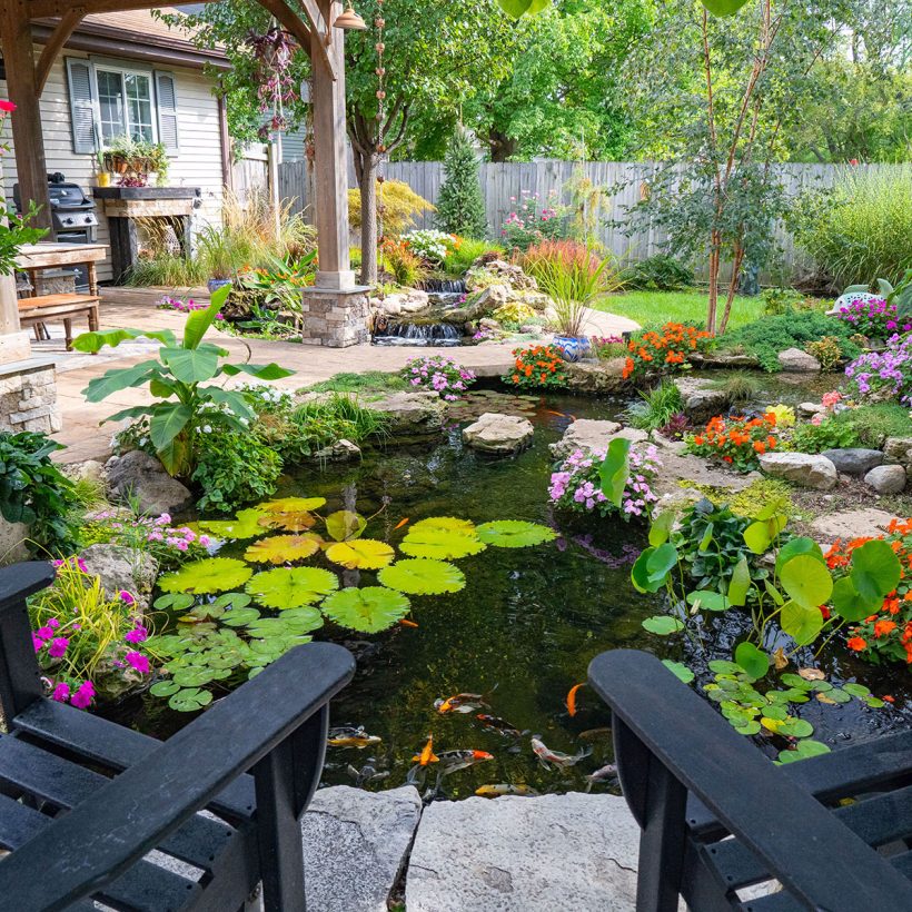 Medium-Pond-Kit_53078UK_53066_53034_53035-820x820